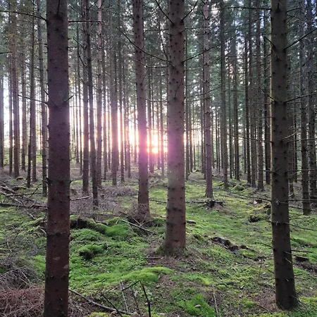 Cozy In Norway One Hour From Oslo アパート